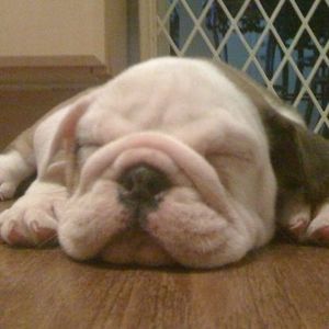 Meet your Posher, Enrique